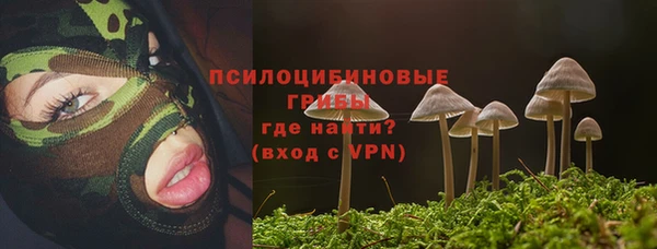 экстази Алексеевка